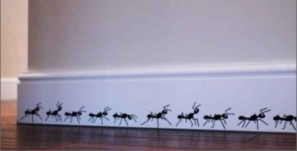 soñar con hormigas en la pared