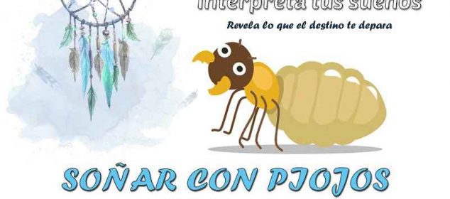Soñar con piojos blancos