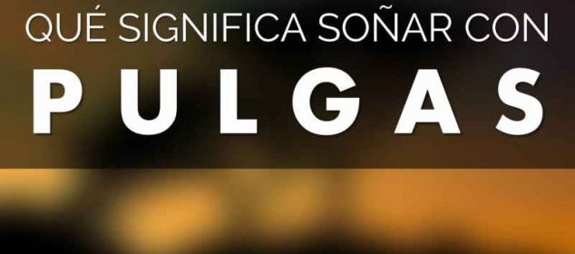 Soñar con pulgas